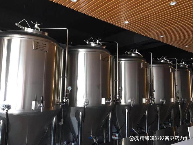 郴州开精酿吧原浆自酿啤酒设备多少钱一套？家用商用怎么选不踩坑